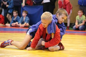 Открытый турнир по самбо «Новогодняя звезда-2019» прошел в Великих Луках (ФОТО)