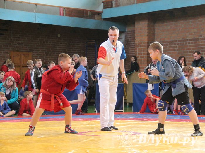 Великолучане завоевали награды турнира по самбо «Память» (ФОТО)