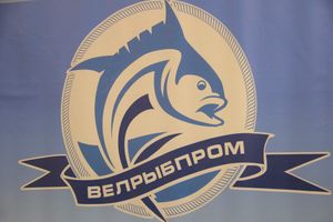 В ДК ЛК открылась 7-я Великолукская универсальная выставка (ФОТО, ВИДЕО)