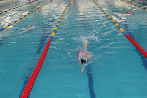 В Великих Луках прошли соревнования по плаванию «Быстрый Кашалот»