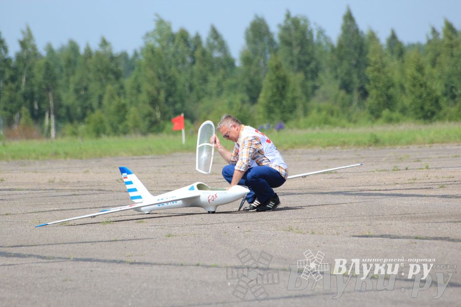IV Фестиваль авиамодельного спорта России в классе радиоуправляемых моделей