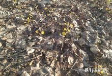 Прогноз погоды на 28 марта в Великих Луках