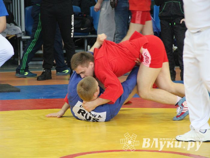Самбисты поборолись на крупном турнире в Великих Луках (ФОТО)
