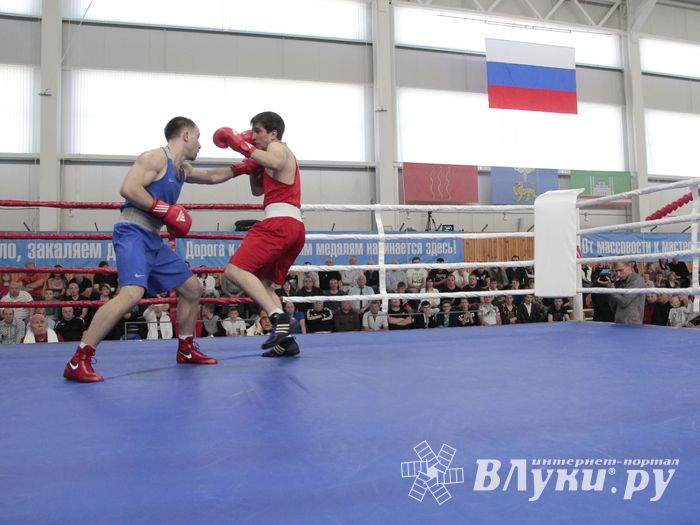 Матчевая встреча по боксу Великие Луки —Псков — Грозный (ФОТО)