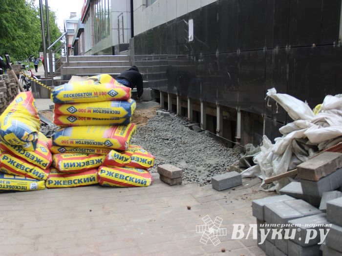 Устали ждать обещанного от властей Великих Лук и взяли дело в свои руки (ФОТО)