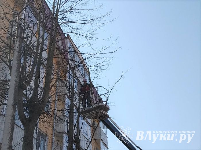 На Пионерской пилят деревья (ФОТО)