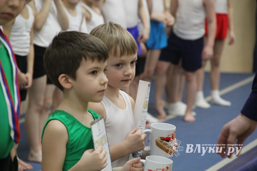 В ДЮСШ «Атлетика» прошли соревнования по спортивной гимнастике (ФОТО)