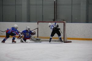 В Великих Луках прошел детский Открытый турнир по хоккею (ФОТО)