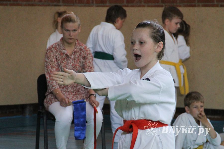 Турнир по каратэ