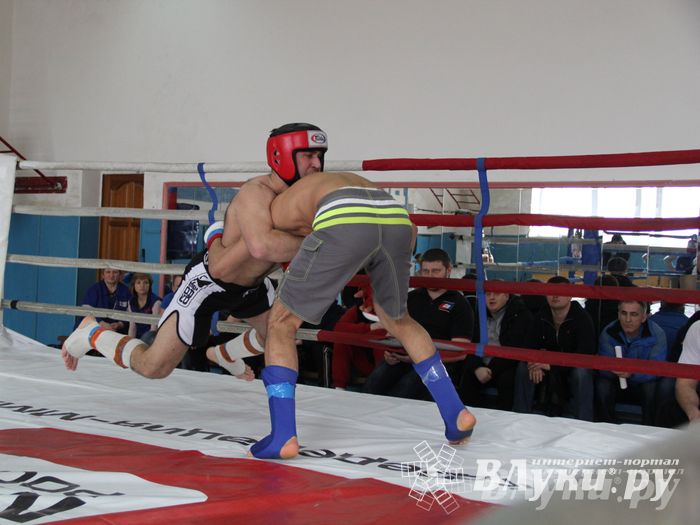 В Великих Луках прошел Чемпионат области по смешанному боевому единоборству (фото)