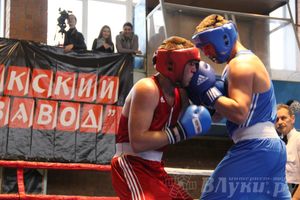 16-й Международный турнир по боксу (фото)