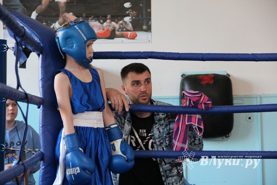В Великих Луках завершился открытый турнир по боксу (ФОТО)