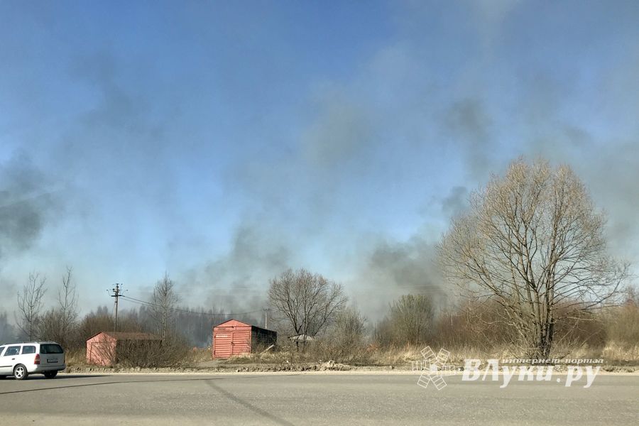 Пал травы угрожает строениям в Северном микрорайоне (ФОТО; ВИДЕО)