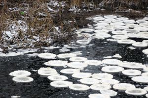 Удивительное природное явление в Великих Луках (ФОТО)