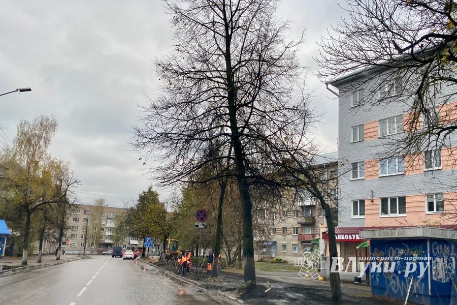 В Великих Луках на улице Зверева обновляют тротуар (ФОТО)