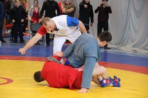 Всероссийские соревнования по самбо проходят в Великих Луках (ФОТО, 0+)