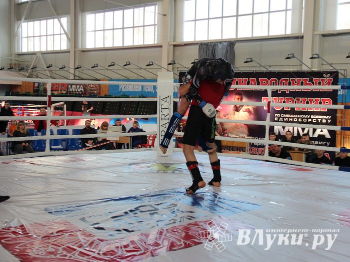 В Великих Луках завершился открытый кубок по смешанному боевому единоборству ММА (ФОТО)