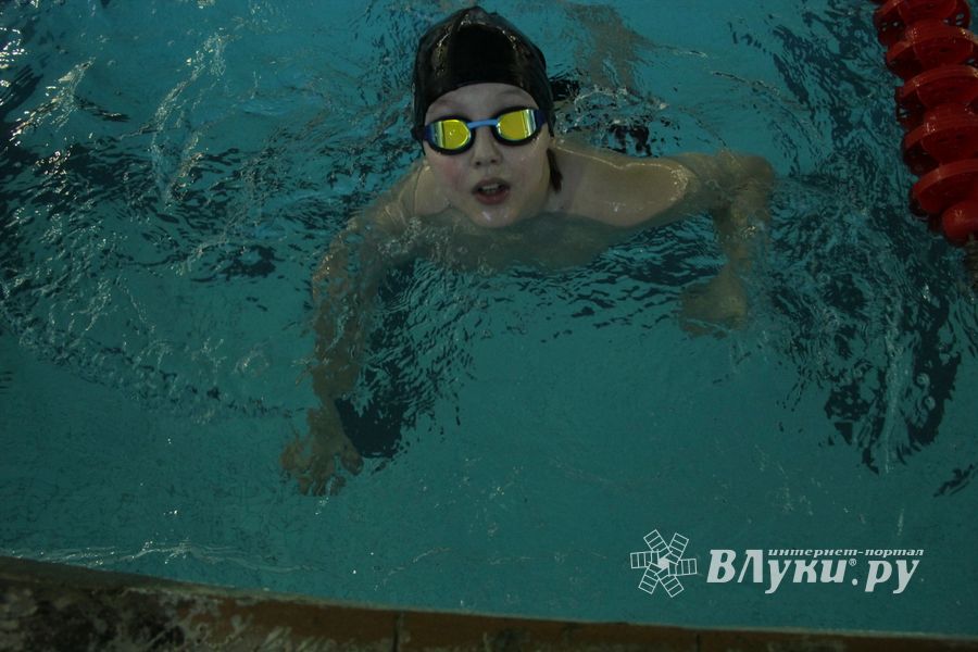 В Великих Луках прошел Чемпионат и Кубок города по плаванию (фото)