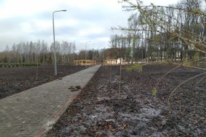 Николай Козловский рассказал о строительстве парка «Петровский»