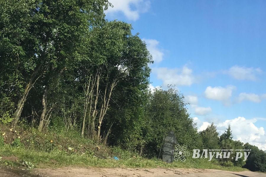 Дачников Великих Лук порадовали районные дорожники (ФОТО)