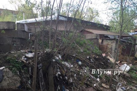 Журналистки Великих Лук провели субботник (ФОТО)