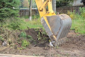 В великолукском парке приступили к планировке территории (ФОТО)