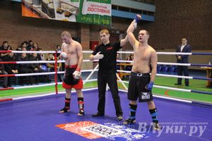 В Великих Луках прошел межрегиональный Открытый Кубок по смешанному боевому единоборству (фото)