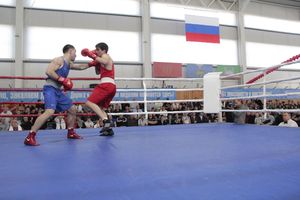 Матчевая встреча по боксу Великие Луки —Псков — Грозный (ФОТО)