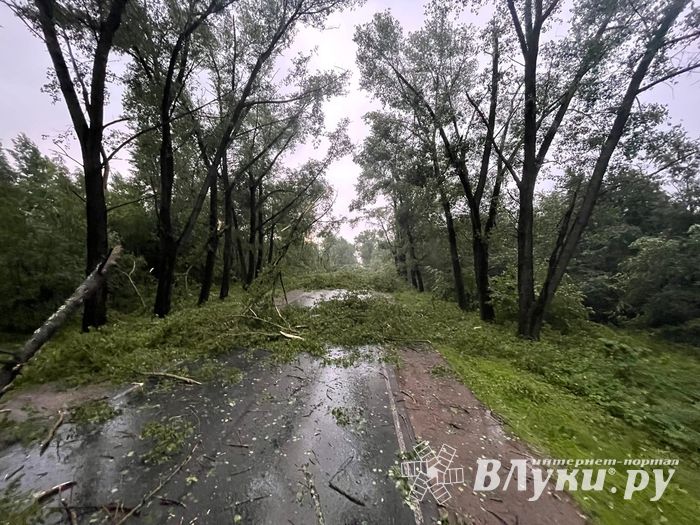 Весь ужас вчерашнего урагана в Великих Луках и районе (ФОТО, ВИДЕО)