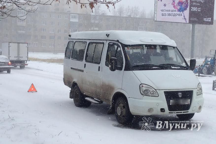 «День жестянщика» в Великих Луках (ФОТО)