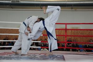 В Великих Луках проходит открытый кубок по смешанному боевому единоборству ММА (ФОТО) (12+)