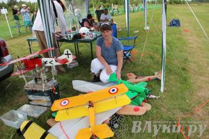 В Великих Луках прошли воздушные бои (фото)