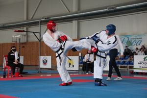 В Великих Луках состоялся Чемпионат и первенство Псковской области по тхэквондо МФТ (ФОТО)