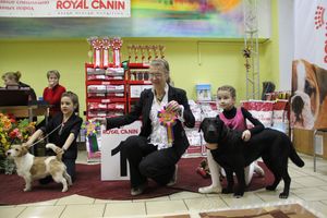 Всероссийская выставка собак «Великие Луки — 2014»