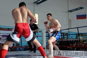 Чемпионат Псковской области по ММА
