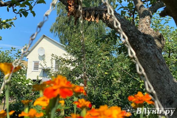 Какой земельный участок приобрести через объявления для строительства дачи