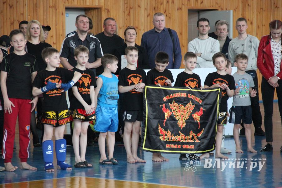 В Великих Луках прошел Кубок области по кикбоксингу (ФОТО)