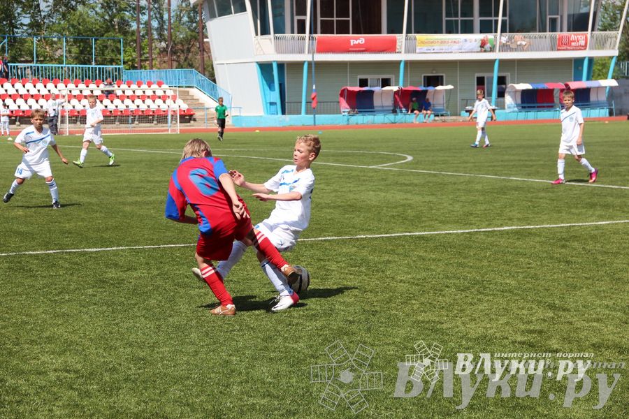 «Локобол-2013» в Великих Луках