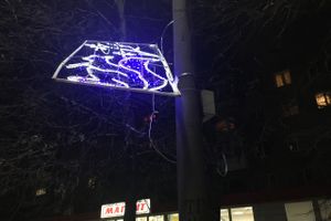 Великолукских белок не выдерживают уличные столбы (ФОТО)