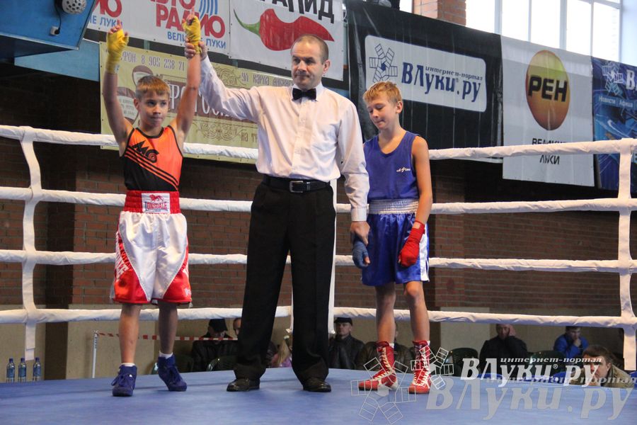 3-й день соревнований Международного турнира по боксу