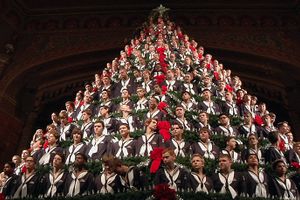 Старые машины, дрова и использованные банки: нетрадиционные идеи для рождественской елки