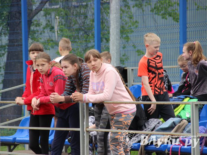 Великолукские школьники сдают ГТО (ФОТО)