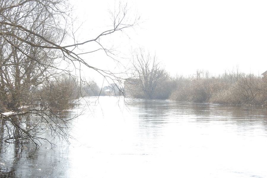 В Великих Луках продолжаются поиски мужчины, пропавшего 9 марта (ФОТО)
