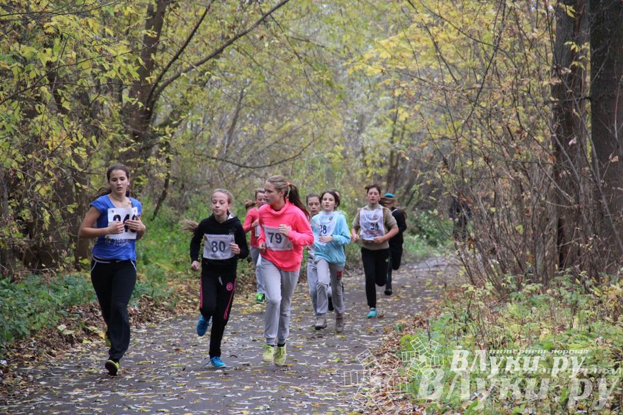 Легкоатлетический осенний кросс прошел в Великих Луках (фото)