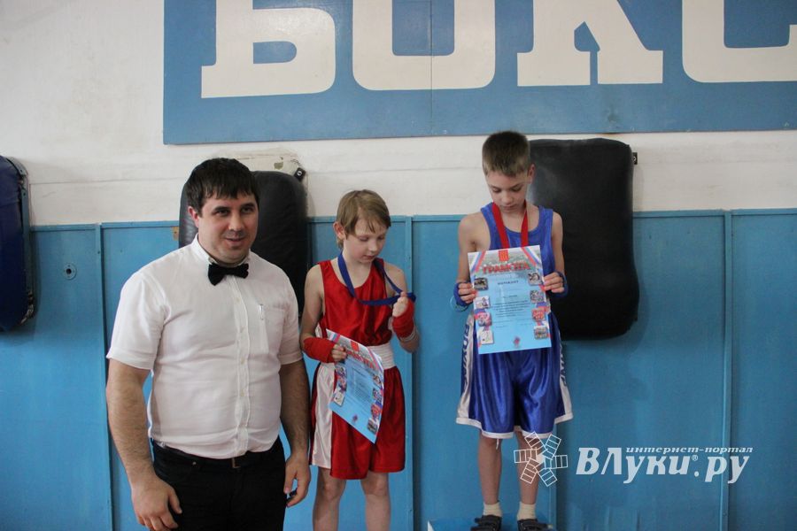 Юные великолучане выявили сильнейших боксёров (ФОТО)