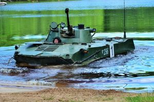 Фото с сайта pskov.kp.ru