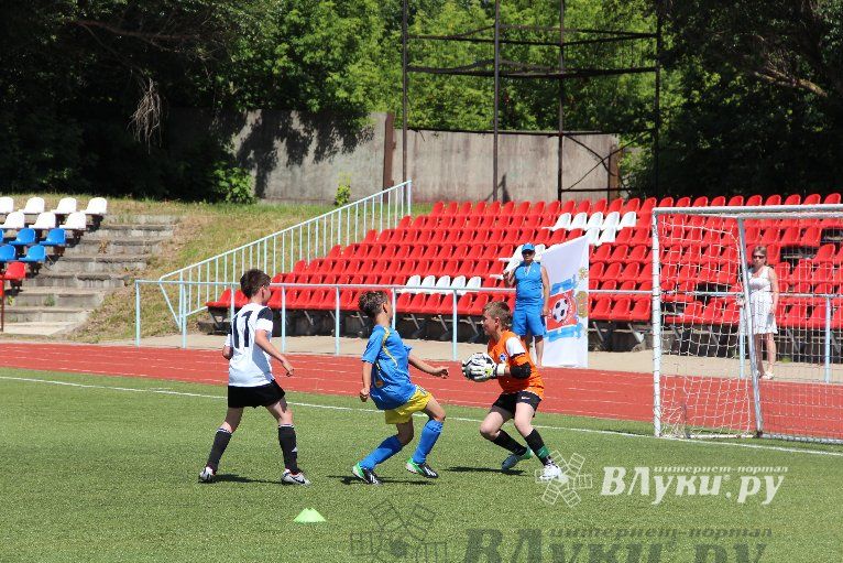 «Локобол-2013»: Великие Луки-Кировск