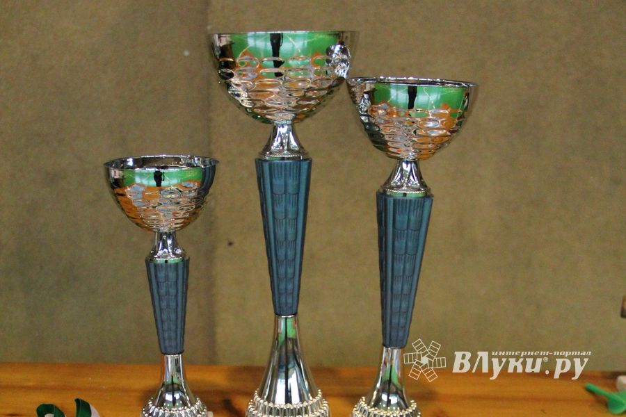 В Великих Луках прошло Первенство города среди спортивных семей (ФОТО)