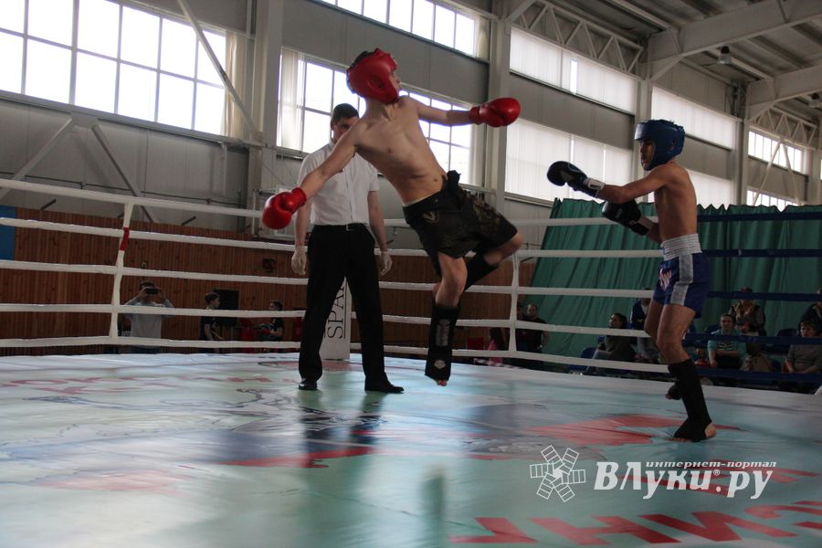 В Великих Луках прошел Кубок области по кикбоксингу (ФОТО)