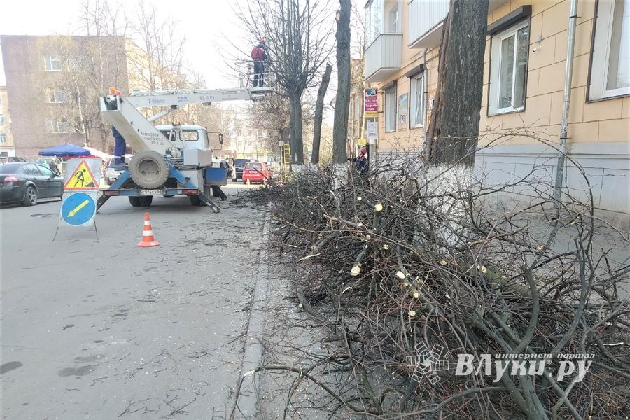 На Пионерской пилят деревья (ФОТО)